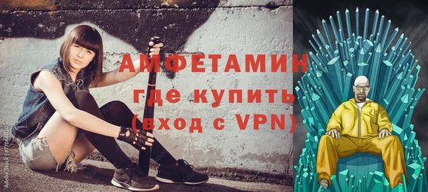 индика Бежецк